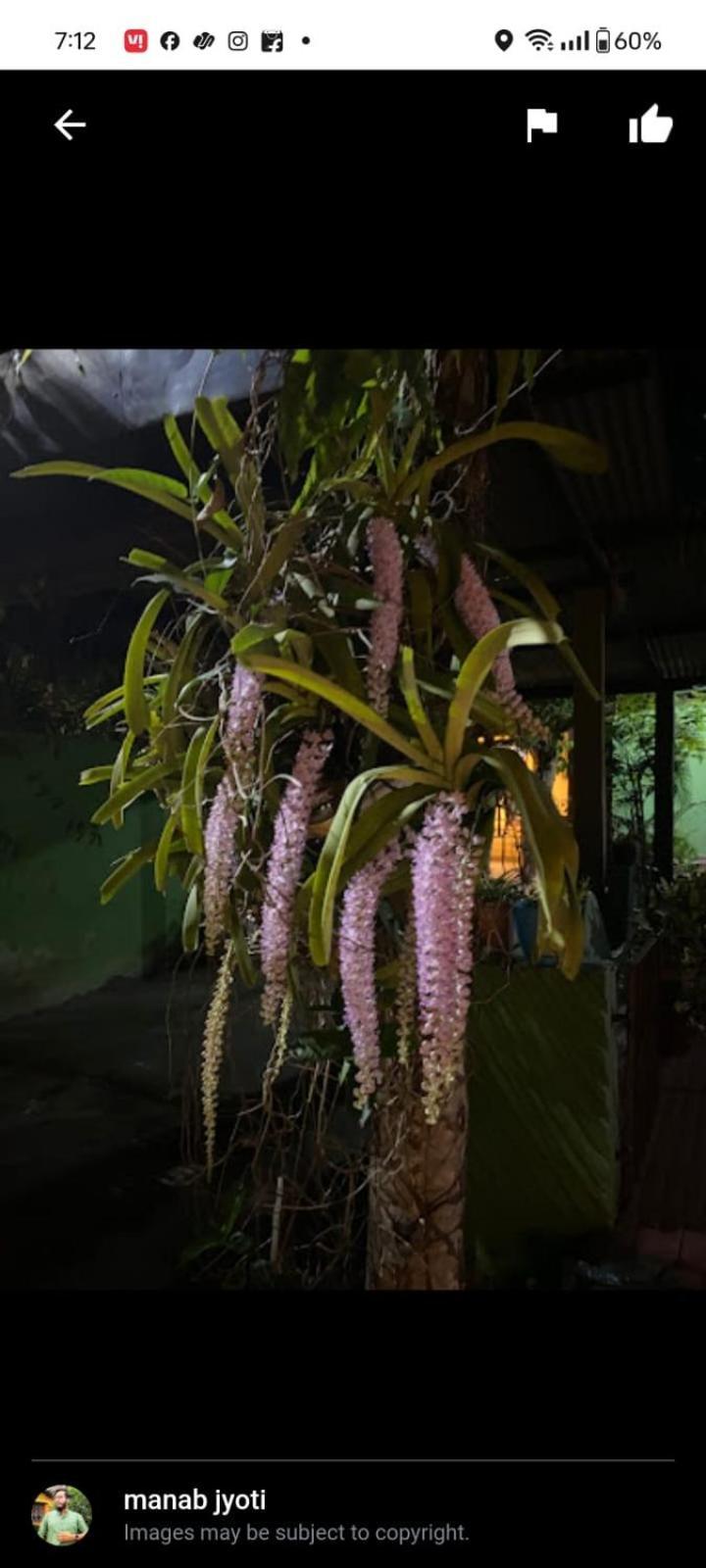 Orchid Park Homestay Sivasagar Esterno foto